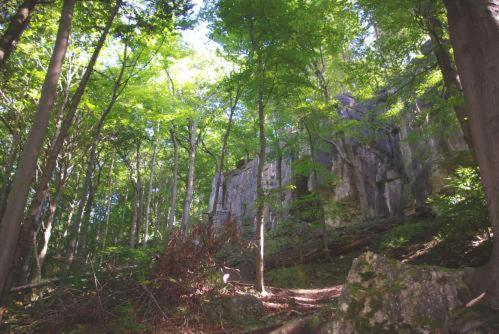 Land-Gut-Hotel Raeuber Lippoldskrug Alfeld  Kültér fotó